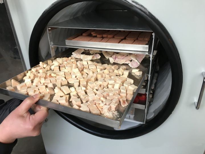 Freeze dryer for dog food