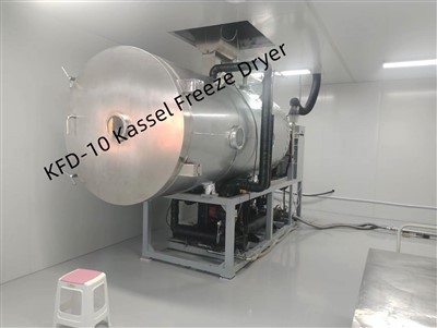 고급 과일 건조기 식품 동결 건조기 기계