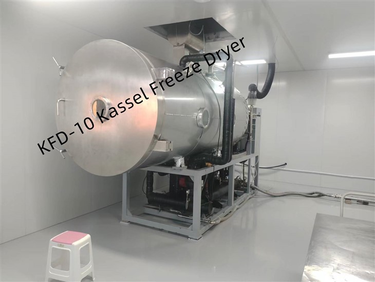 최고의 상업용 동결 건조기